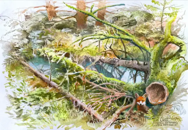 Leśna kryjówka z cyklu Powidoki karkonoskie