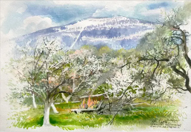 Wiosna pod Szrenicą z cyklu Powidoki karkonoskie