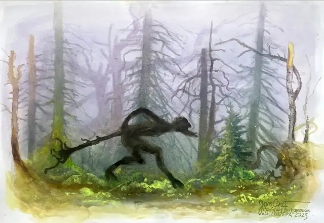 Liczyrzepa z cyklu Powidoki karkonoskie