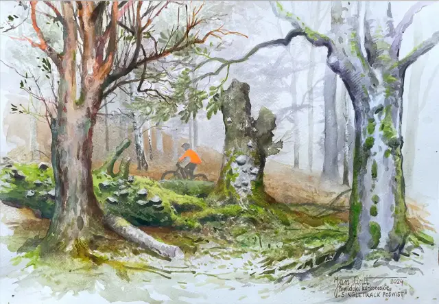 Singletrack Poświst z cyklu Powidoki karkonoskie