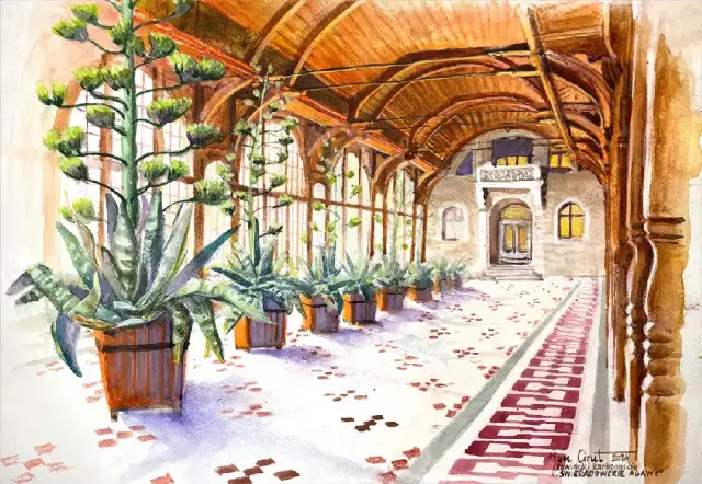 Świeradowskie agawy z cyklu Powidoki karkonoskie